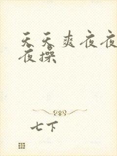 天天爽夜夜爽夜夜操