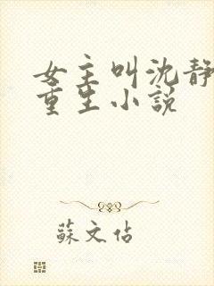 女主叫沈静姝的重生小说