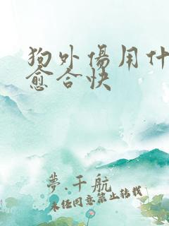 狗外伤用什么药愈合快