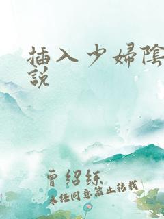 插入少妇阴道小说