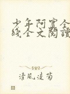 少年阿宾全文在线全文阅读