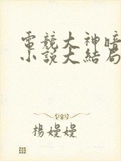 电竞大神暗恋我小说大结局