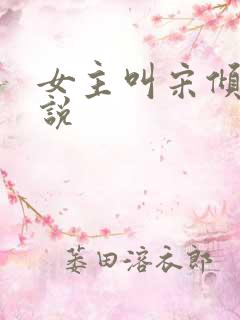 女主叫宋倾的小说