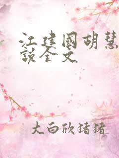 江建国胡慧美小说全文