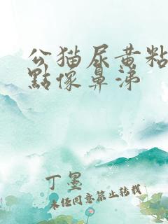 公猫尿黄粘稠有点像鼻涕