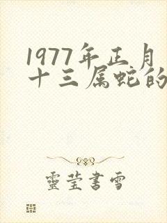1977年正月十三属蛇的命运
