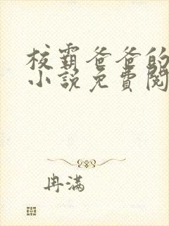 校霸爸爸的秘密小说免费阅读