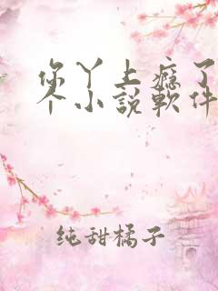 你丫上瘾了在哪个小说软件可以看