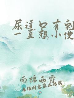 尿道口有刺痛感一直想小便