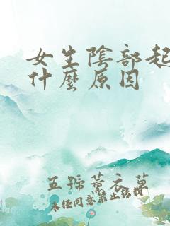 女生阴部起水泡什么原因