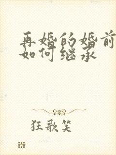 再婚的婚前财产如何继承