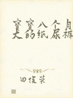 宝宝八个月用多大的纸尿裤