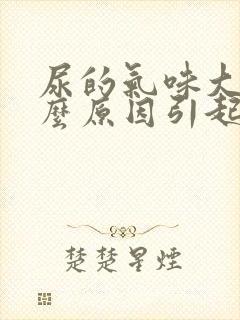 尿的气味大是什么原因引起的