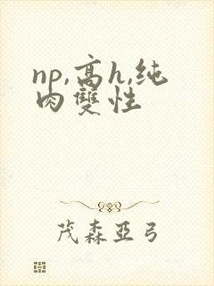 np,高h,纯肉双性