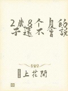 2岁8个月的孩子还不会说话