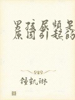 男孩尿频是什么原因引起的