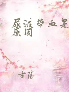 尿液带血是什么原因