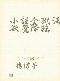 小说全职法师之欲魔降临