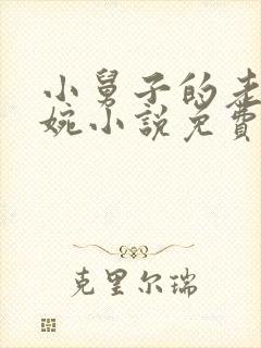 小舅子的老婆苏婉小说免费阅读