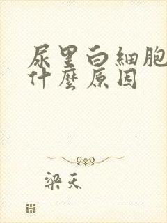 尿里白细胞高是什么原因