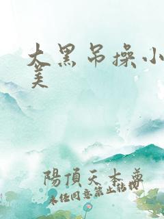 大黑吊操小逼欧美