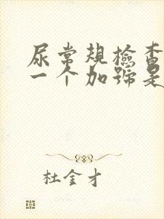 尿常规检查隐血一个加号是什么意思