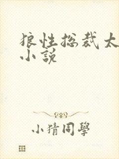 狼性总裁太凶猛小说