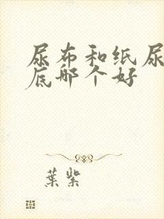 尿布和纸尿裤到底哪个好