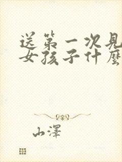 送第一次见面的女孩子什么花