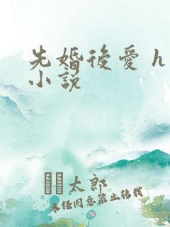 先婚后爱 h 小说