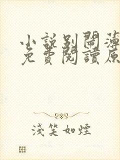 小说别闹薄先生免费阅读原文