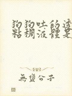 狗狗吐的透明色粘稠液体是什么原因