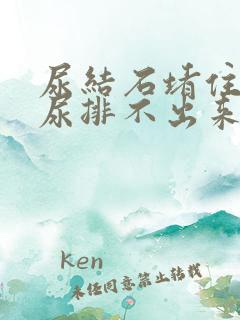 尿结石堵住尿道尿排不出来怎么办