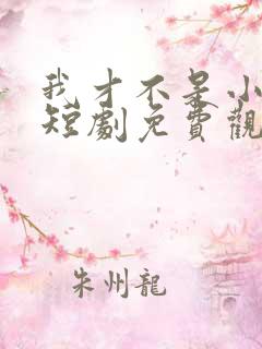 我才不是小可怜短剧免费观看全集