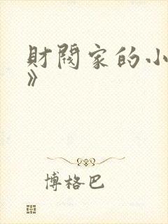 财阀家的小儿子》