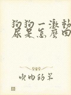 狗狗一激动就漏尿是怎么回事