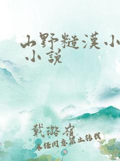 山野糙汉小娇娘 小说