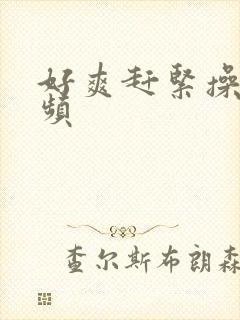 好爽赶紧操我视频