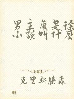 男主角是徐青的小说叫什么