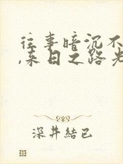 往事暗沉不可追,来日之路光明灿烂出处