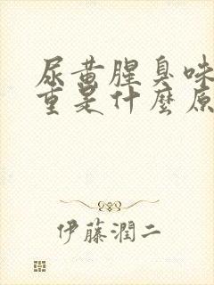 尿黄腥臭味特别重是什么原因