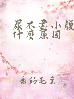 尿不尽小腹痛是什么原因