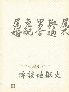 属兔男与属马女婚配合适不