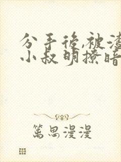 分手后,被渣男小叔明撩暗宠