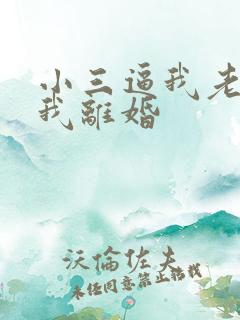 小三逼我老公跟我离婚