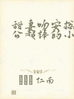 甜妻吻安总裁老公超棒的小说全集