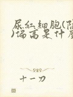 尿红细胞(隐血)偏高是什么原因