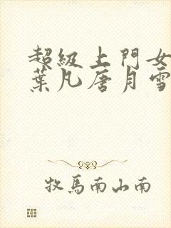 超级上门女婿 叶凡唐月雪小说免费阅读