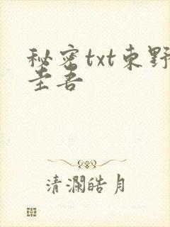秘密txt东野圭吾