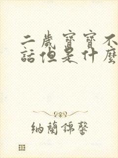 二岁宝宝不会说话但是什么都能听懂了